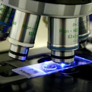 pathology